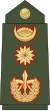 上将