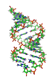 Struttura a elica del DNA, molecola contenente le informazioni genetiche