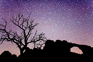 English: Arches National Park by Night.