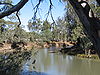 Murrumbidgee River at Balranald, New South Wales