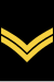 CDN-Navy-LS.svg