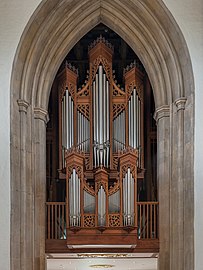 The organ