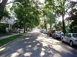 Looking east down Milverton Boulevard, a residential road in East Danforth