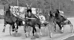 Elitloppet 1968.png