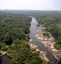 Miniatura para Selva de tierras bajas del Congo nororiental