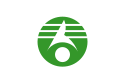 Kasukabe – Bandiera