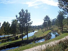 Granxa do Xesto en el Monte Pedroso.