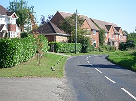 Ripley Lane, West Horsley