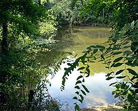 Jammerdaalsche Heide