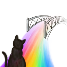 Die Illustration zeigt eine Katze vor einer stilisierten 'Regenbogenbrücke' die auf ihren ehemaligen Besitzer wartet, der, nach seinem Ableben, dann gemeinsam mit der Katze über die Regenbogenbrücke ins Jenseits geht.