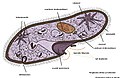 Pisipilt versioonist seisuga 22. detsember 2011, kell 23:53