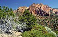 4. A Kolob Canyons a Zion Nemzeti Park északnyugati részén (USA, Utah állam) (javítás)/(csere)