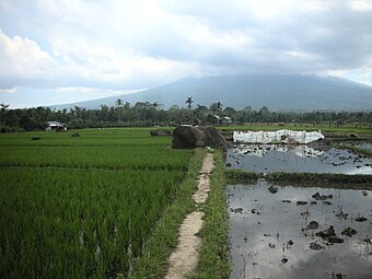 Le site mégalithique de Tanjungaro