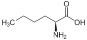 Struktur von L-Norleucin