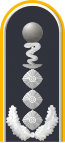 Dienstgradabzeichen auf der Schulterklappe der Jacke des Dienstanzuges für Luftwaffenuniformträger.