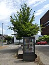 Bücherbox beim Kindergarten Rheindorf in Lustenau