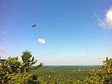 Narragansett Trail's Lantern Hill view of hawks flying. Mashantucket Pequot Museum can be seen in the far background.