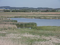 Přírodní rezervace Nový rybník