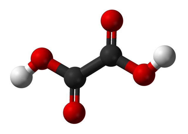 Model bola dan batang dari asam oksalat