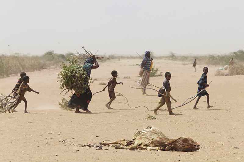 Archivo:Oxfam East Africa - A family gathers sticks and branches for firewood.jpg