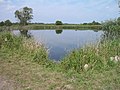 Pool next to Burwell & Reach lodes