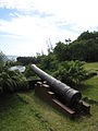 Oud kanon in de haven van Sainte-Rose