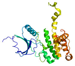 Белок MKNK2 PDB 2ac3.png