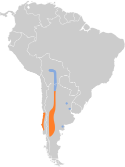 Distribución geográfica del doradito limón.