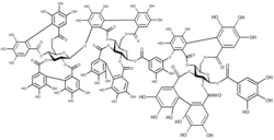 Raspberry ellagitannin, a tannin composed of core of glucose units surrounded by gallic acid esters and ellagic acid units Raspberry ellagitannin.png