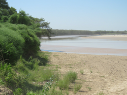 The Pilcomayo River near Pedro Peña, Paraguay