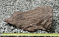 Cono da impatto di 30 cm nel granito di Saint Gervais, dal cratere di Rochechouart, Francia.