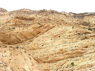 Wüstenlandschaft außerhalb von Salalah in der Trockenzeit