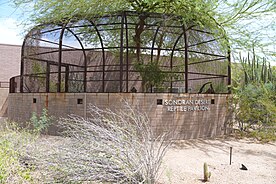 Scottsdale Community College Sonoran Desert Reptile Pavilion