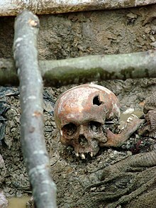 The skull of a victim of the July 1995 Srebrenica massacre in an exhumed mass grave outside Potocari, 2007 Srebrenica Massacre - Massacre Victim 2 - Potocari 2007.jpg