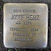 Stolperstein für Josef Herz