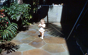 Patio with stone tiled floor, Hawaii.