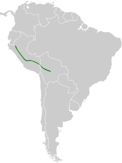 Distribución geográfica del trepamusgos peruano.