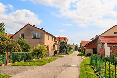 Rue à Tisová.