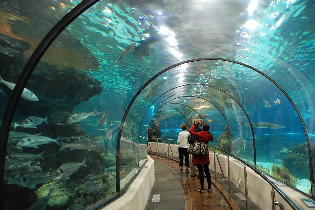 L'Aquarium of Barcelona - activities for children