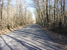 Photographie en couleurs d'une route rectiligne au milieu des bois.