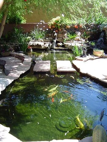 English: Koi pond with an extensive filtration...