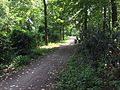 Ein Weg im Wäldchen auf dem Eckernförder Platz