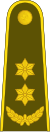 17-Литовская армия-LTC.svg