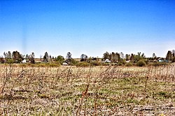 Near Paybulatovskoye Lake, Kiknursky District