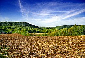 Barry Township (comté de Schuylkill, Pennsylvanie)