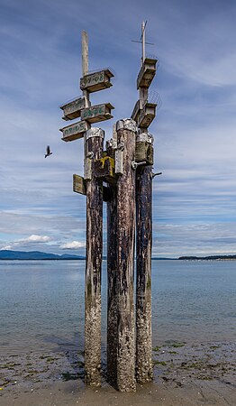 图为加拿大不列颠哥伦比亚省悉尼岛（英语：Sidney Island）海湾群岛国家公园的鸟屋。