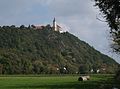 Bogenberg von Donauinsel „Auf der Wörth“