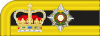 Colonel