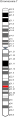 Lokalisation des CFTR-Gens auf Chromosom 7