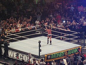 A professional wrestler stands alone in a ring hoisting a golden championship belt.